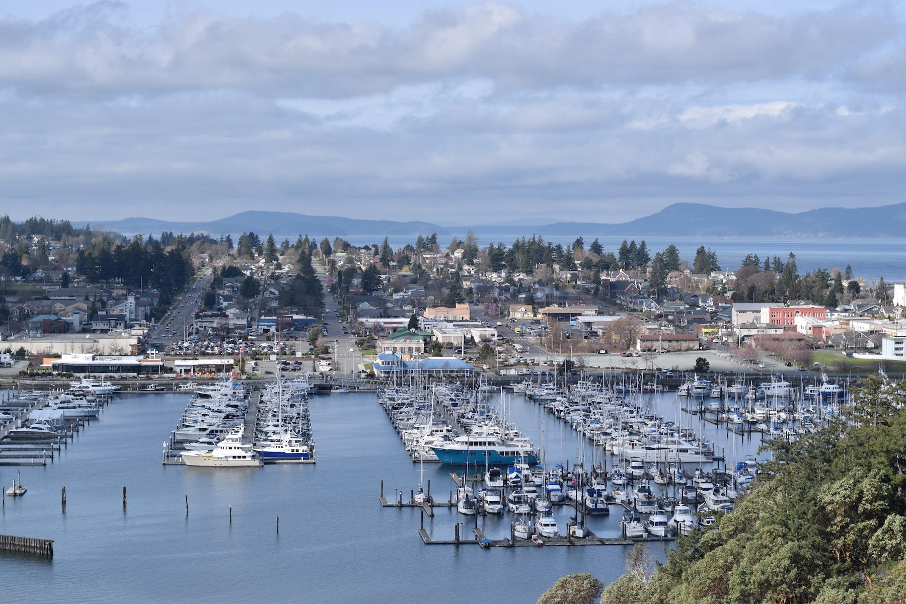 Anacortes Marina and Community